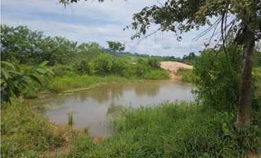 Se Vende Finca ganadera de 152 has en Darién