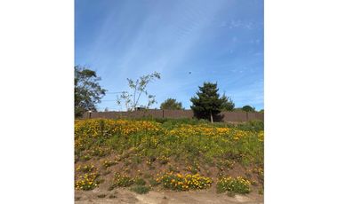 Vista Privilegiada en Los Pinos, Reñaca