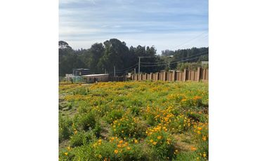 Vista Privilegiada en Los Pinos, Reñaca