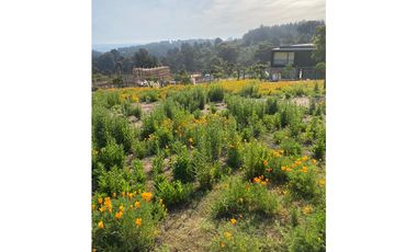 Vista Privilegiada en Los Pinos, Reñaca