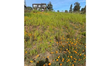 Vista Privilegiada en Los Pinos, Reñaca