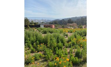 Vista Privilegiada en Los Pinos, Reñaca
