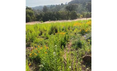 Vista Privilegiada en Los Pinos, Reñaca