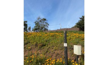 Vista Privilegiada en Los Pinos, Reñaca
