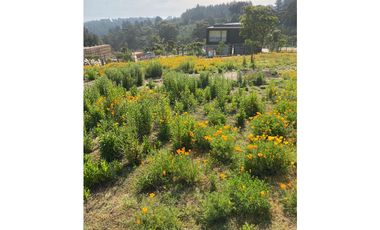 Vista Privilegiada en Los Pinos, Reñaca