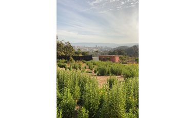 Vista Privilegiada en Los Pinos, Reñaca