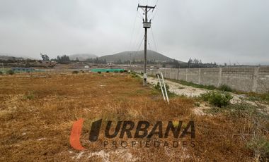 PARCELA KM29 RUTA 41 VALLE DEL ELQUI