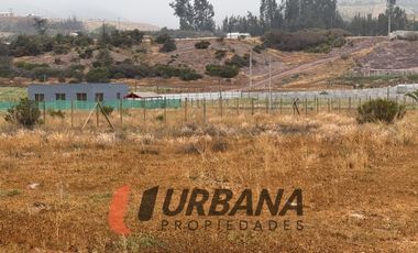 PARCELA KM29 RUTA 41 VALLE DEL ELQUI