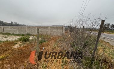 PARCELA KM29 RUTA 41 VALLE DEL ELQUI