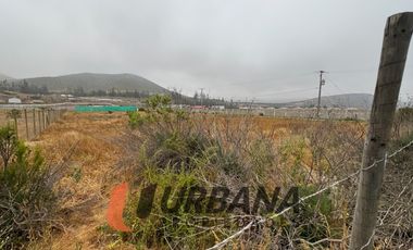 PARCELA KM29 RUTA 41 VALLE DEL ELQUI