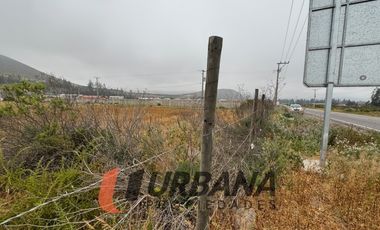 PARCELA KM29 RUTA 41 VALLE DEL ELQUI