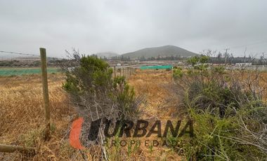 PARCELA KM29 RUTA 41 VALLE DEL ELQUI