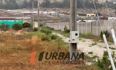 PARCELA KM29 RUTA 41 VALLE DEL ELQUI