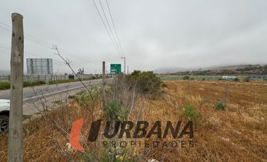 PARCELA KM29 RUTA 41 VALLE DEL ELQUI