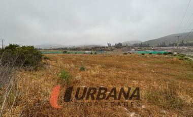 PARCELA KM29 RUTA 41 VALLE DEL ELQUI