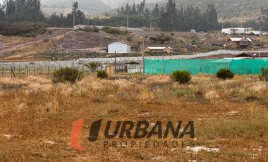 PARCELA KM29 RUTA 41 VALLE DEL ELQUI