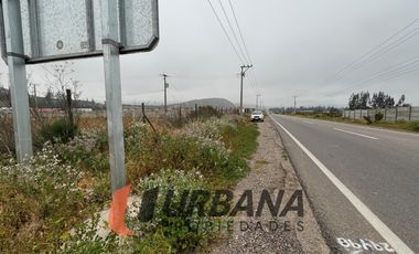 PARCELA KM29 RUTA 41 VALLE DEL ELQUI