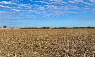 Campo en Humberto Primero