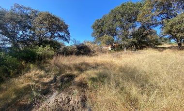 Terreno en venta en Fincas de SAYAVEDRA