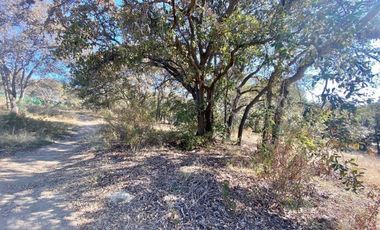 Terreno en venta en Fincas de SAYAVEDRA