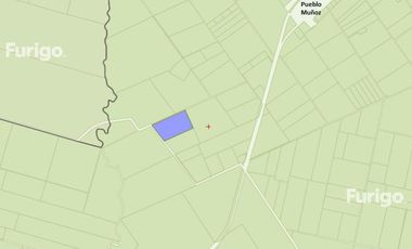 Campo - Pueblo Muñoz