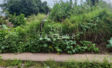 TERRENO EN VENTA EN AMACUECA, JALISCO