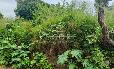TERRENO EN VENTA EN AMACUECA, JALISCO