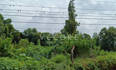 TERRENO EN VENTA EN AMACUECA, JALISCO