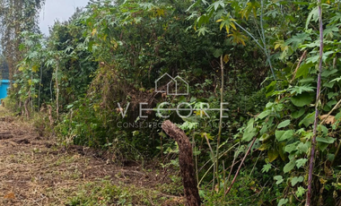 TERRENO EN VENTA EN AMACUECA, JALISCO