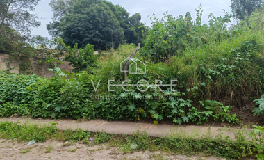 TERRENO EN VENTA EN AMACUECA, JALISCO