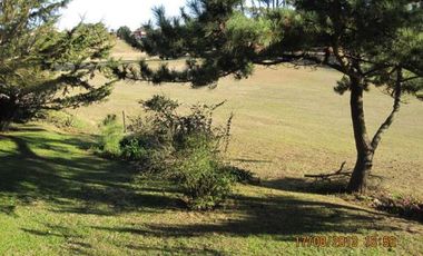 Casa - Pinamar