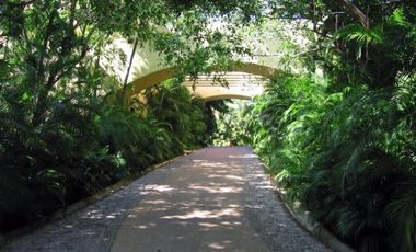 Venta Terreno en Punta Ixtapa, Zihuatanejo, Guerrero