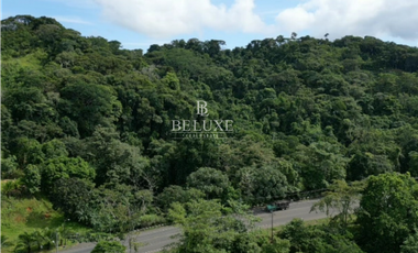 VENDO TERRENO EN COLÓN, OPORTUNIDAD DE INVERSIÓN (16)