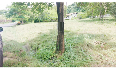 TERRENO / CORONADO / 1198 M2 / LOTE PLANO / DENTRO DEL CLUB