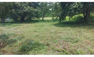 TERRENO / CORONADO / 1198 M2 / LOTE PLANO / DENTRO DEL CLUB