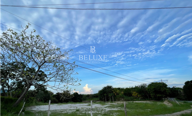 VENTA DE TERRENO, LAS LAJAS CORONADO (16)