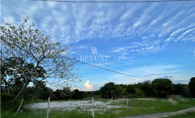 VENTA DE TERRENO, LAS LAJAS CORONADO (16)