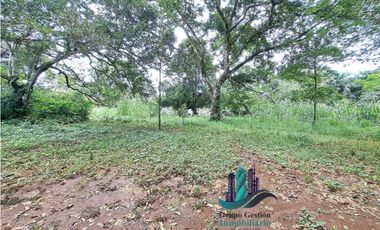 VENDO LOTE DE 8490MTS EN  DOLEGA