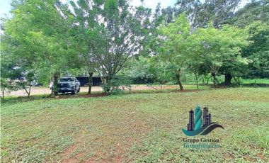 VENDO LOTE DE 8490MTS EN  DOLEGA