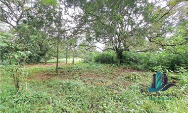 VENDO LOTE DE 8490MTS EN  DOLEGA