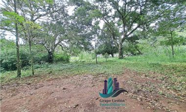 VENDO LOTE DE 8490MTS EN  DOLEGA