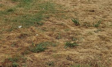 Terrenos a la venta con oportunidad para desarrollo en Pilar
