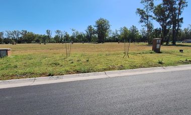 Terreno en venta en el Barrio Santa Sofía, Pilar del Este