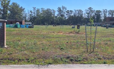 Terreno en venta en el Barrio Santa Sofía, Pilar del Este