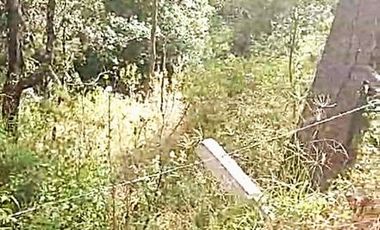 Terreno en venta en Los Cazos Mazamitla