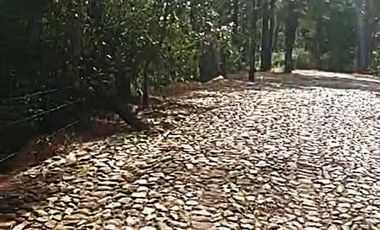 Terreno en venta en Los Cazos Mazamitla