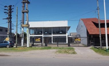 Local - Luis Guillon