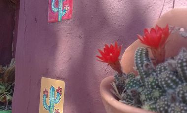 Cabañas Humahuaca