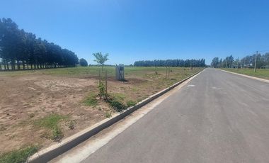 Venta Terreno de 330m2 en EcoLagos Oeste, General Lagos