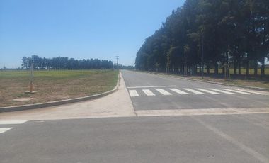 Venta Terreno de 330m2 en EcoLagos Oeste, General Lagos